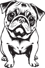 Pug dog. Hand drawn vector illustration