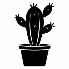 cactus in a pot
