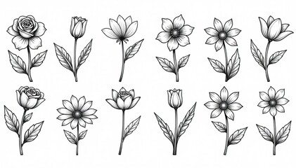 Single line vector floral illustrations in a collection, featuring various flowers such as roses, tulips, and daisies, flower,  single line