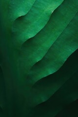 Sleek dark green abstract background with various shades and textures,  abstract,  background