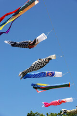 A blue clear sky and a Carp streamer swaying in the wind