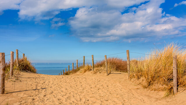 Sand dune at the beach in Katwijk aan Zee, Netherlands