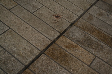 stone pavement with rectangular tiles. Urban background texture, neutral architectural surface, and modern city design element.