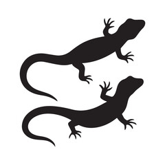 lizard isolated on white