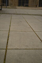 Obraz premium Concrete tile pavement close-up Grey outdoor paving with moss in lines Minimal urban walkway texture