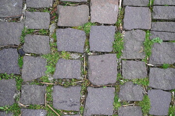 old grey paving slabs with green grass in the background, paving stones with grass growing in the joints 