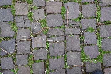 old grey paving slabs with green grass in the background, paving stones with grass growing in the...