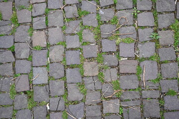 old grey paving slabs with green grass in the background, paving stones with grass growing in the...