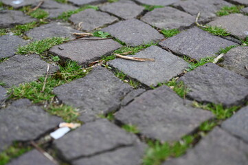 Old cobblestone pavement with green grass growing between stones. Irregular gray stones form a vintage walkway texture. Perfect for background or design projects with urban, historical or natural them