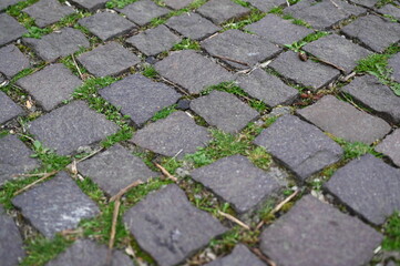 Old cobblestone pavement with green grass growing between stones. Irregular gray stones form a vintage walkway texture. Perfect for background or design projects with urban, historical or natural them