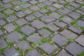 Old cobblestone pavement with green grass growing between stones. Irregular gray stones form a vintage walkway texture. Perfect for background or design projects with urban, historical or natural them
