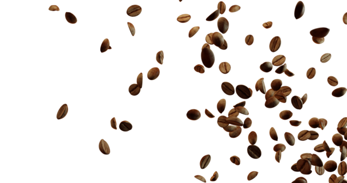 Many brown coffee beans are falling or floating against a bright white background, concentrated on the right side and becoming more sparse towards the upper left.