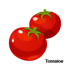 Fresh whole cartoon farming tomatoes isolated on white background.	