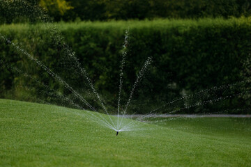 An automatic sprinkler efficiently waters a lush green lawn while droplets sparkle in the sunlight, enhancing the garden's beauty.