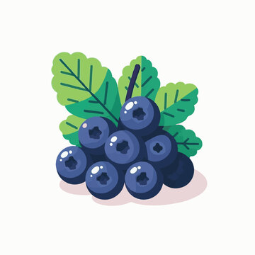 blueberries bunch green leaves flat design clip art preview
