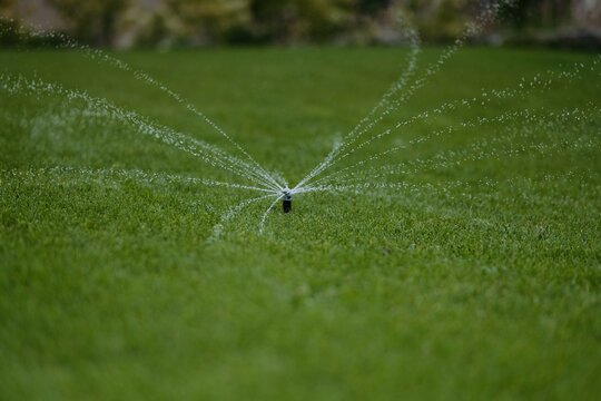 A lawn sprinkler system efficiently disperses water over a lush, green lawn, promoting healthy growth and vibrant grass.