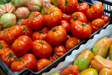 Different varieties of ripe tomatoes offered for sale on counter of local vegetable market