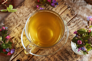 Lungwort flowers and a cup of herbal tea
