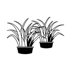 Simple Black and White Zoysia Grass Illustration for Minimalist Decor