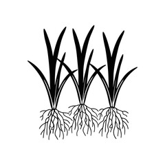 Monochrome Grass Blades with Roots Vector, Minimal Nature Illustration for Modern Design
