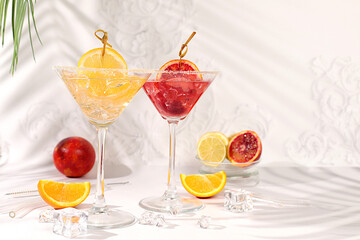 Martini cocktails with lemon and orange, ice cubes, rum and tequila. Summer party and holiday concept. Banner with alcoholic drinks and tropical fruits. Menu for a bar or cafe