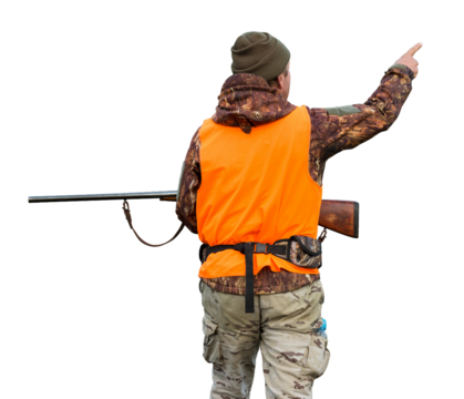 A man with a gun in his hands and an orange vest on a pheasant hunt in a wooded area in cloudy weather. Hunter with dogs in search of game.