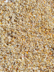 Detailed texture of natural beach sand. Closeup view shows fine grains, perfect for backgrounds, textures, summer themes, or abstract design elements. Coastal.