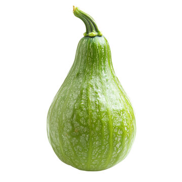 Fresh whole pointed gourd isolated on clean background