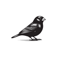 A vector illustration of a Canary, perfect for bird-themed designs, nature projects, and wildlife illustrations. Ideal for use in creative, educational, and artistic materials.