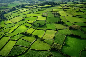  Picturesque rural landscape in normandy with green fields and hedgerows under light clouds © Petr