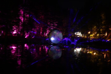Fototapeta premium light display in the forest lake