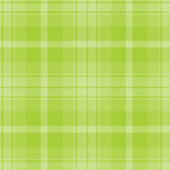 Plaid pattern seamless. Soft light khaki & Metallic snot green Tartan Fabric Design. 