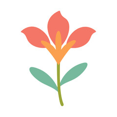 Alstroemeria Icon Vector Design