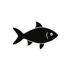 fish vector illustration