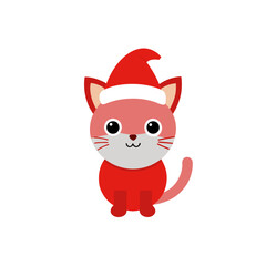 red cat with a heart