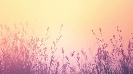 Soft, Pastel Sunset Field