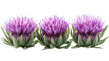 You've reached our limit of messages per hour Please try again later