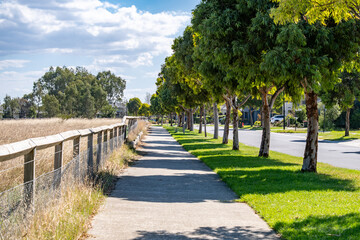 An orderly, tree-lined street provides pleasant shade over the footpath in a suburban neighborhood...