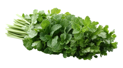 You've reached our limit of messages per hour Please try again later