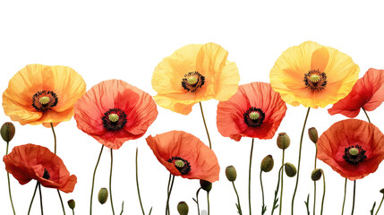 You've reached our limit of messages per hour Please try again later