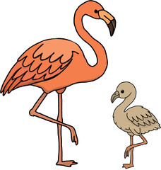 flamingos family