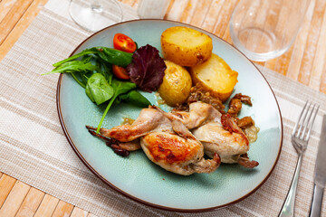 Appetizing fried quail with fresh vegetable salad and potatoes served on platter