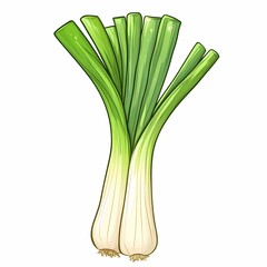 Fresh Leek and Green Onion: Vibrant Culinary Ingredients for Healthy Cooking Essentials