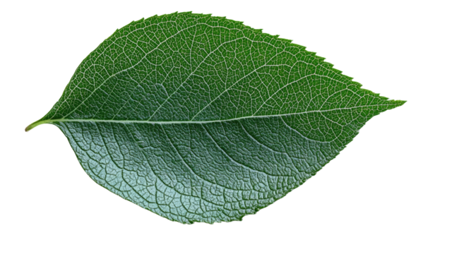 You've reached our limit of messages per hour Please try again later