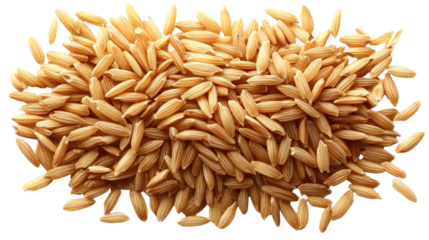 You've reached our limit of messages per hour Please try again later