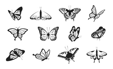Silhouettes of butterflies. Monochrome Insect butterfly black winged gorgeous insect set isolated vector illustration