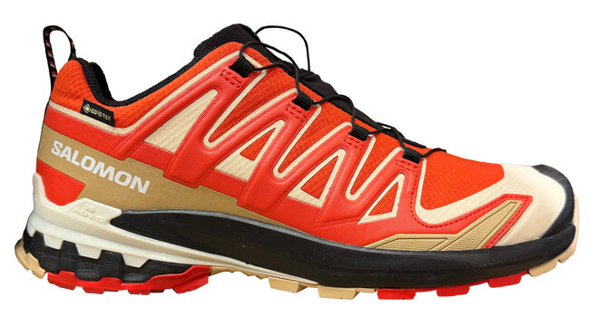 Salomon XA Pro 3D v9 GTX sneaker.