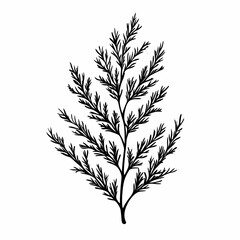 Naklejka premium Botanical Illustration: Eco-Friendly Hand-Drawn Leaf Patterns for Rustic Wall Art and Decorative Design