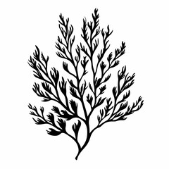 Naklejka premium Underwater Seaweed Silhouette: An Artistic Black Coral and Marine Botanical Illustration for Nature Lovers