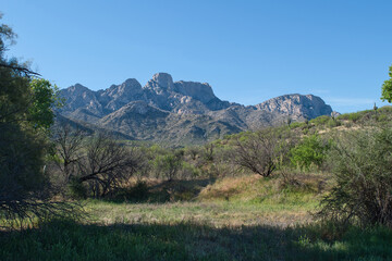 Catalina Regional Park, Tucson, Arizona